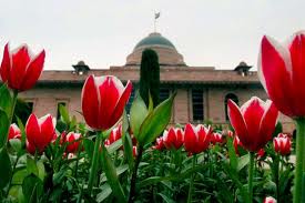 Mughal Garden Flowers